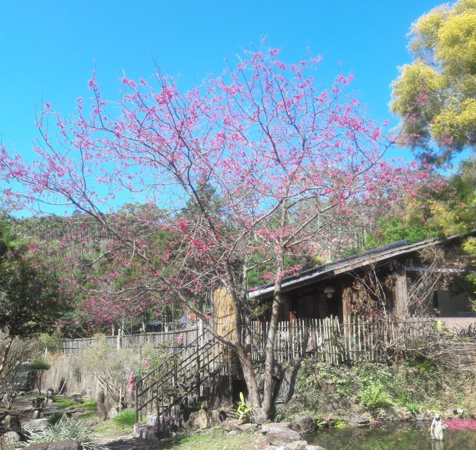 Bright Moon Homestay Dongshi  Екстер'єр фото