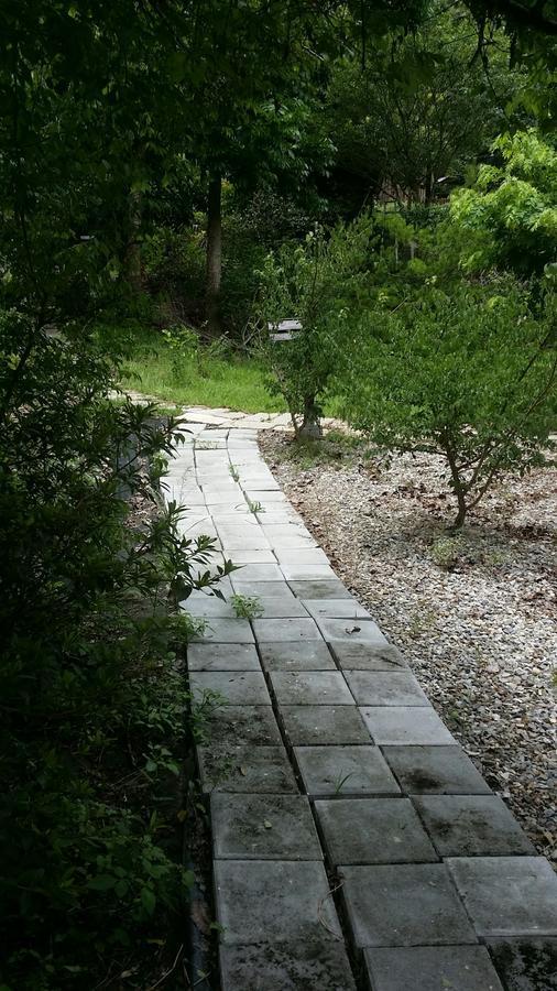 Bright Moon Homestay Dongshi  Екстер'єр фото