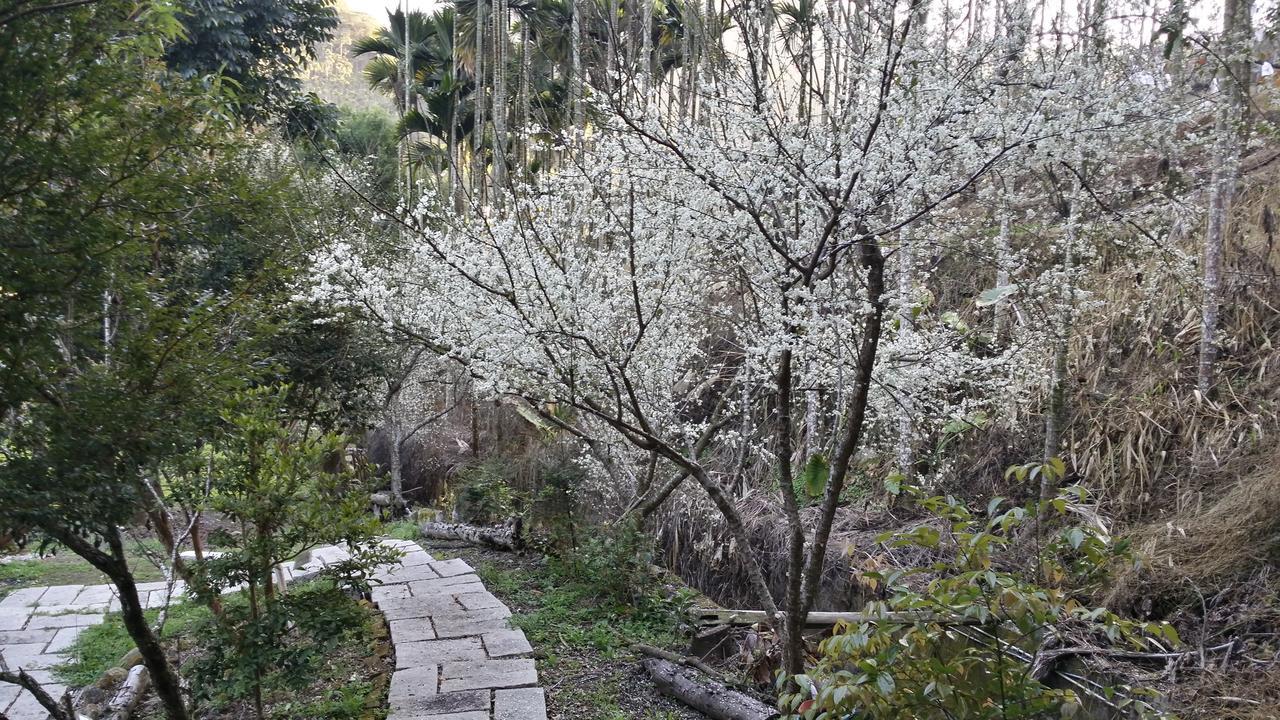 Bright Moon Homestay Dongshi  Екстер'єр фото